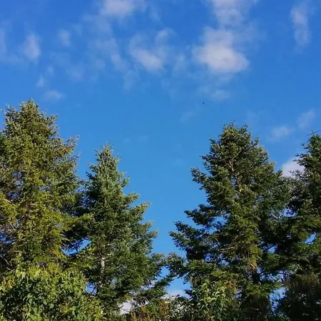 Сasa de vacaciones Les 2 Granges *