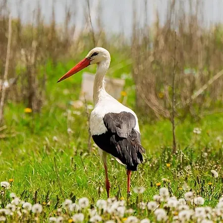Сasa de vacaciones Les 2 Granges Bérig-Vintrange