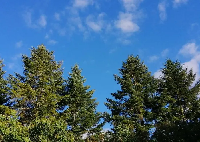 別荘 Les 2 Granges *