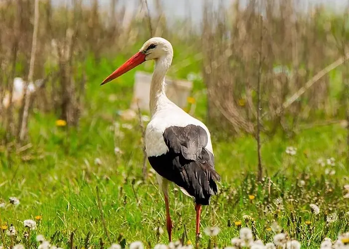 別荘 Les 2 Granges Bérig-Vintrange