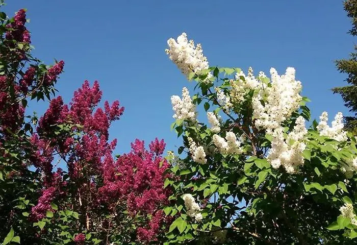 Les 2 Granges 別荘 Bérig-Vintrange